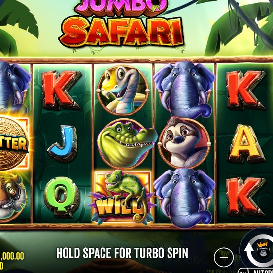 Jumbo Safari